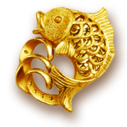 PJ SYSTEM Icon nav menu fishing